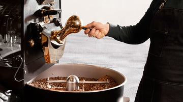 Cafea de specialitate: cum se clasifică pe scara SCA