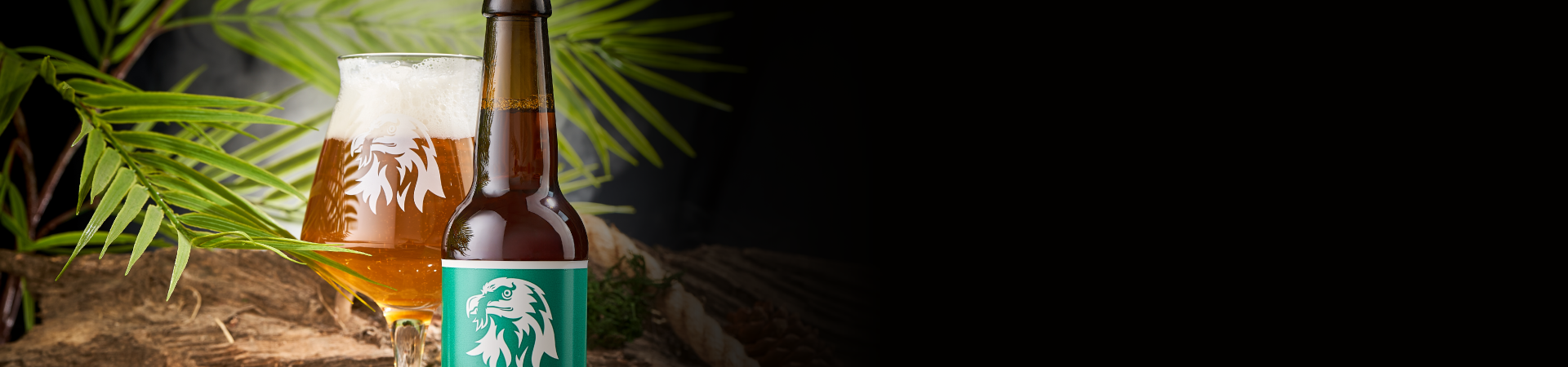 collection-banner-image