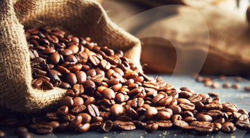 Cafea Arabica: ce este și ce o face atât de specială? - Baristelli