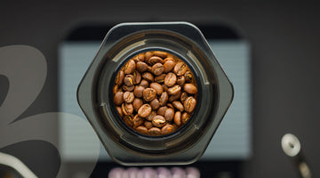 Cum influențează inteligența artificială industria cafelei? - Baristelli