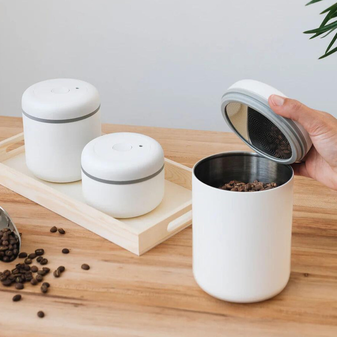 FELLOW, recipient depozitare cafea Atmos Vacuum, 0.4L